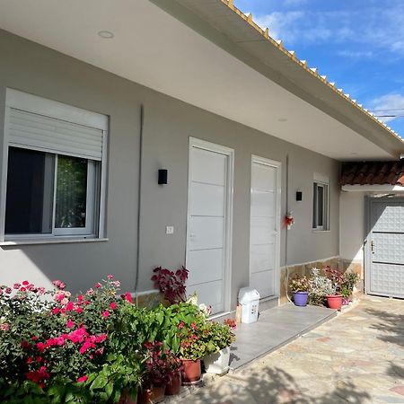 Guest House Luli Strumi Berat Buitenkant foto